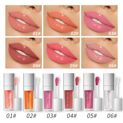 Hydrating Plumping Lip Oil 6ml – Glossy Nourishing Tint